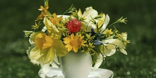黄色的水仙和野生的春天的鲜花在咖啡杯而不是花瓶在模糊的草地背景旋转
