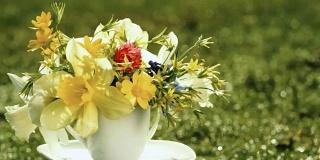 黄色的水仙和野生的春天的鲜花在咖啡杯而不是花瓶旋转在模糊的草地背景与复制空间为你的祝贺文本。节日问候邀请卡设计。
