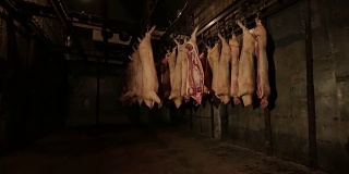 肉制品厂挂在钩子上的猪肉尸体。