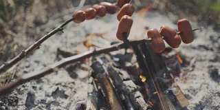 在篝火上烤肥香肠。捷克乡村流行的户外活动。在篝火旁煮香肠。
