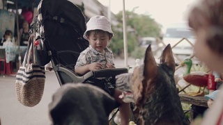 亚洲小男孩在跳蚤市场的婴儿车里。视频素材模板下载