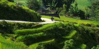 在亚洲越南萨帕骑摩托车穿过风景优美的梯田