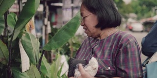 高级妇女在商店购买热带植物