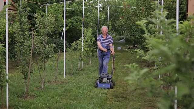在果园里用割草机割草的老人