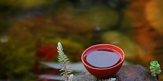 中国红茶与奔流的河流背景