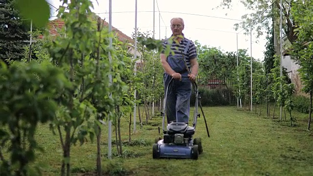 在果园里用割草机割草的老人