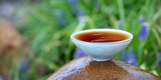 中国红茶茶园