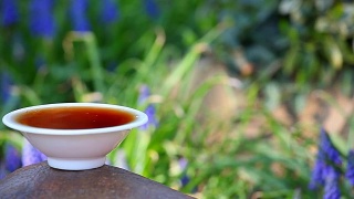 中国红茶茶园视频素材模板下载
