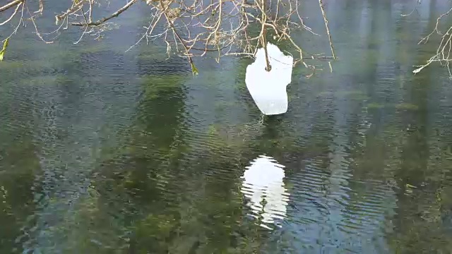 树枝上的一块雪融化了，水滴掉进河里