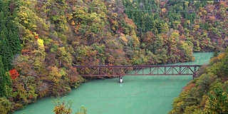 日本福岛三岛，红桥景观与红叶景观