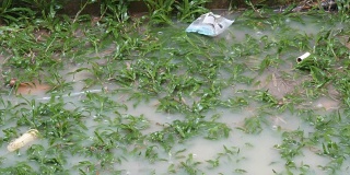 雨点滴落在大水坑上。泰国的热带雨量