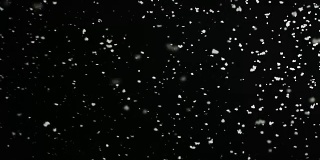 缓慢下落的蓬松雪花孤立在黑色背景上的循环。真实的镜头光晕，很容易使用混合/叠加模式。