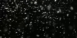 暴风雨的天气，下雪，大的雪花与风，孤立在黑色的背景。真实的镜头光晕，很容易使用混合/叠加模式。