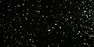 慢慢地飘落的蓬松的雪花孤立在黑色的背景，可循环。真实的镜头光晕，很容易使用混合/叠加模式。