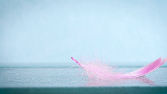 非常接近柔软的粉色羽毛在蓝色背景作为梦幻，柔软，新鲜和浪漫的概念，4K Dci分辨率