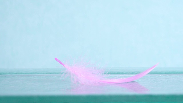 非常接近柔软的粉色羽毛在蓝色背景作为梦幻，柔软，新鲜和浪漫的概念，4K Dci分辨率