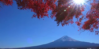 富士山秋季湖景