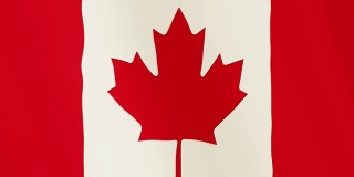 加拿大国旗飘扬的动画。全屏。国家的象征