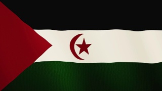 西撒哈拉旗帜飘扬的动画。全屏。国家的象征视频素材模板下载
