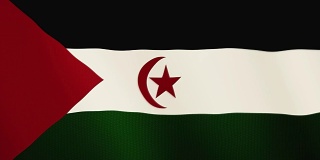西撒哈拉旗帜飘扬的动画。全屏。国家的象征