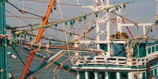捕乌贼用的半毁的旧木船停泊在一个捕鱼码头上
