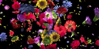 彩色大花背景在4K