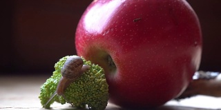 蜗牛爬过红苹果和绿西兰花，可爱的动物，电影背景