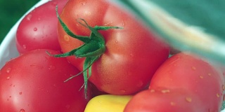 西红柿放在滤锅里清洗自来水