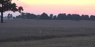 秋天日落时，重型农业机器联合在地里干活。FullHD
