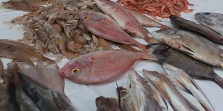 摩洛哥鱼市餐桌上的新鲜海鲜