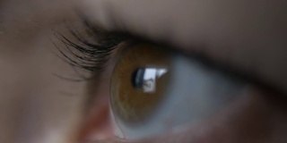 一个女人的眼角，倒影着一扇窗，棕色的眼睛，微距拍摄