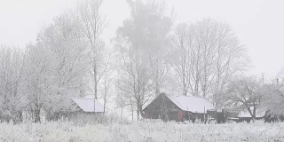 在下雪的冬天霜冻的一天与老木屋的景观