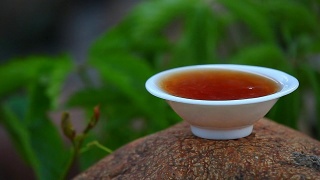 中国红茶茶园视频素材模板下载