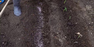 向土壤中引入复合肥料