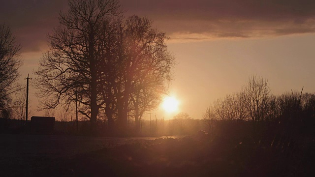 傍晚的路在春天里逆着夕阳时光流逝视频4k