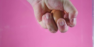 一个男人的手握着并试图捏碎一个鸡蛋