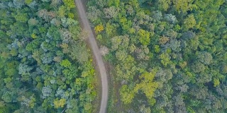 鸟瞰图飞过柏油两车道的森林道路与绿树茂密的树林生长的两边。