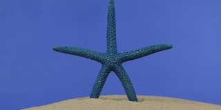放大。美丽的海星躺在沙滩上。孤立的