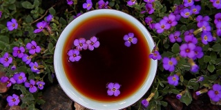 中国茶园的黑花