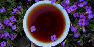 中国茶园的黑花