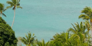 热带海岸有异国情调的椰子树和蔚蓝的海水