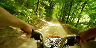 阳光森林里骑折叠自行车的男人
