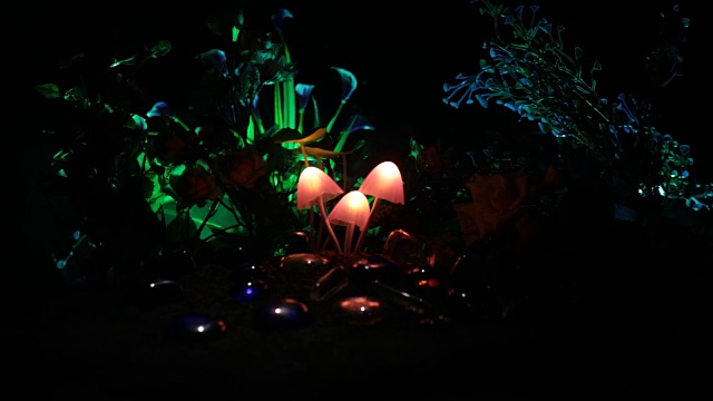 三个幻想发光的蘑菇在神秘的黑暗森林特写。美丽的微距魔术蘑菇或三个灵魂迷失在阿凡达森林。仙女灯的背景与雾。滑块。