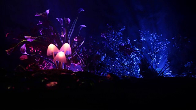 三个幻想发光的蘑菇在神秘的黑暗森林特写。美丽的微距魔术蘑菇或三个灵魂迷失在阿凡达森林。仙女灯的背景与雾。滑块。