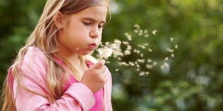 一个可爱的长发女孩吹落蒲公英的种子。它们在夕阳的余晖中迎风飞翔。暑假在大自然中。儿童节
