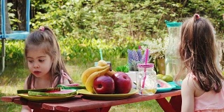 两个小女孩在夏季野餐时喝柠檬水