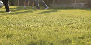 孩子们在草地上踢足球