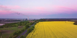 工业区附近的黄油菜花盛开的农田。自然与工业相结合。空中全景。