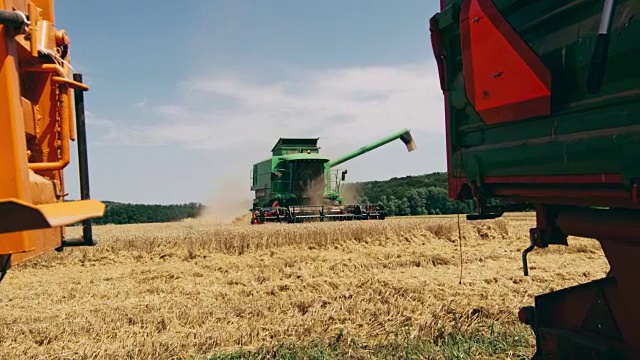 联合收割机在阳光明媚的乡村田野里收割小麦，动作缓慢