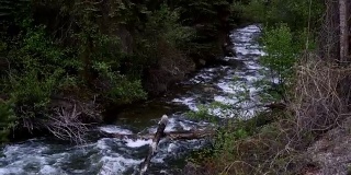 纯净的山溪流水缩小